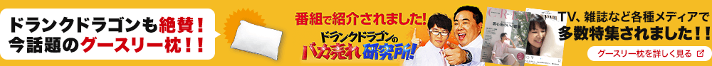 ドランクドラゴンも絶賛！！グースリー枕